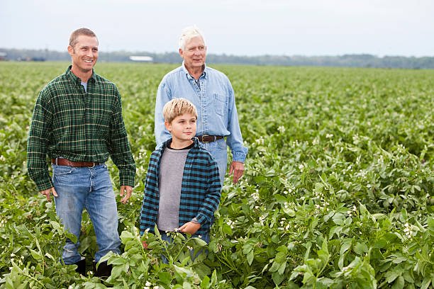 istockphoto-171292717-612x612